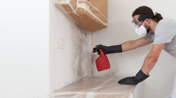 Professional Basement Mold Remediation technician working in Washington Crossing, PA
