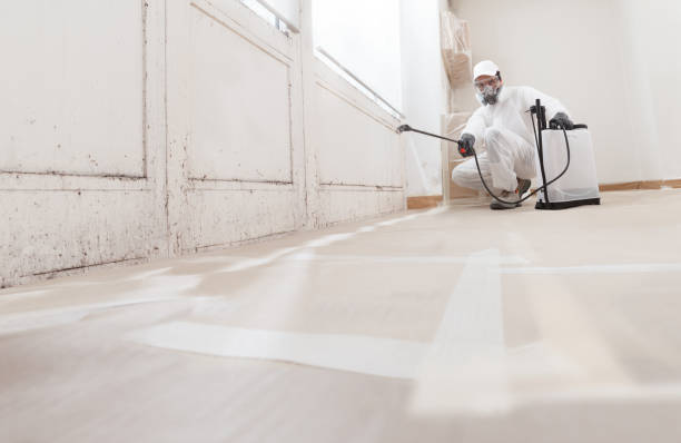 24/7 Emergency Basement Mold Remediation experts in Washington Crossing, PA