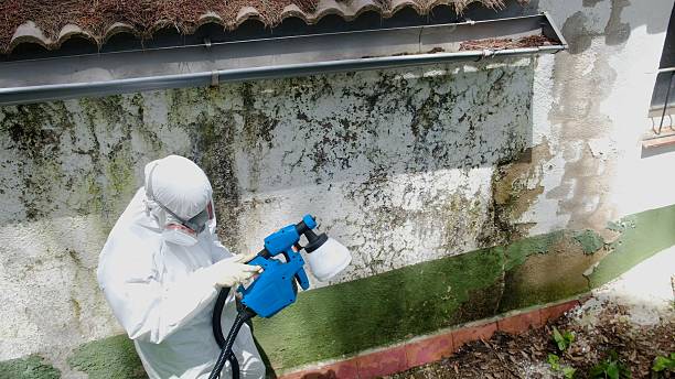 Top rated local Basement Mold Remediation specialists in Washington Crossing, PA